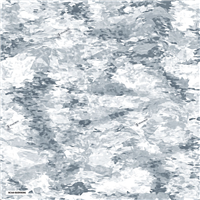 Raider Conceament Viking